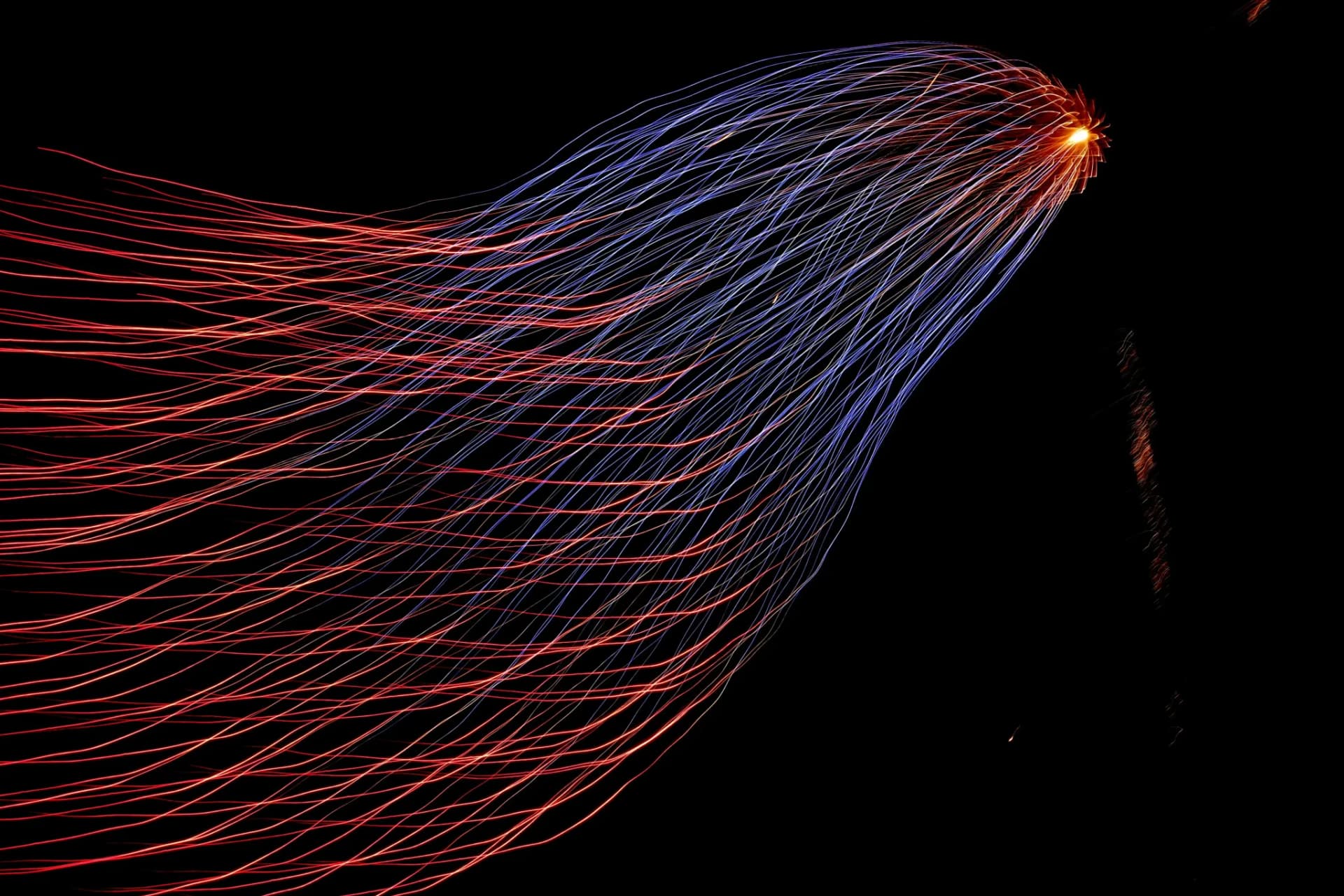 Long-exposure photo of red and blue light trails streaming from a single bright point across a black background